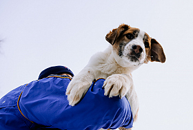 Работа фотографа Дмитрий Гусалов