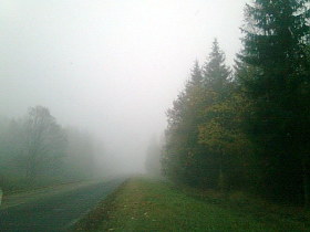 через туман | Фотограф Дмитрий Нестерович | foto.by фото.бай