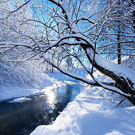 Моя застывшая малая Родина | Фотограф Дмитрий Голуб | foto.by фото.бай