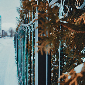 фотограф Кристина Ковалева. Фотография "Симпатичный забор"