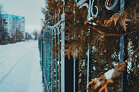 Симпатичный забор | Фотограф Кристина Ковалева | foto.by фото.бай