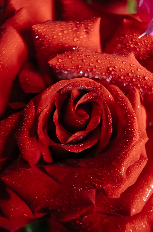 Фотограф Мария Войтик, фотография добавлена 24.12.2025