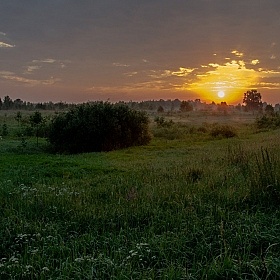 фотограф Виктор Позняков. Фотография "Июльское утро"