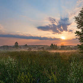 утренний полёт | Фотограф Виталий Полуэктов | foto.by фото.бай