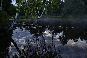 Перевернутый мир | Фотограф Надежда Кабирова | foto.by фото.бай