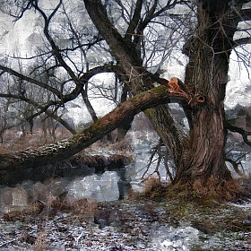 Утро у реки | Фотограф Диана Буглак-Диковицкая | foto.by фото.бай