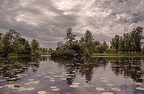 окуневый рай | Фотограф Alexandr Chikiliou | foto.by фото.бай