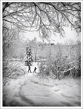 Зима в городе | Фотограф Лариса Пашкевич | foto.by фото.бай