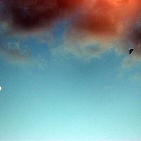 фотограф Кристина Семенякина. Фотография "луна"