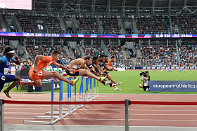 Работа фотографа Сергей Тарасов