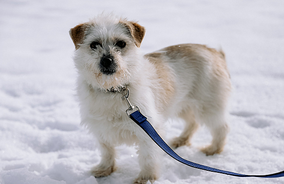 Фотограф Дмитрий Гусалов, фотография добавлена 18.02.2026