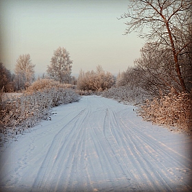 Альбом "зима" | Фотограф Анатолий Процко | foto.by фото.бай