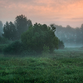 Утро на лугу | Фотограф Александр Шатохин | foto.by фото.бай