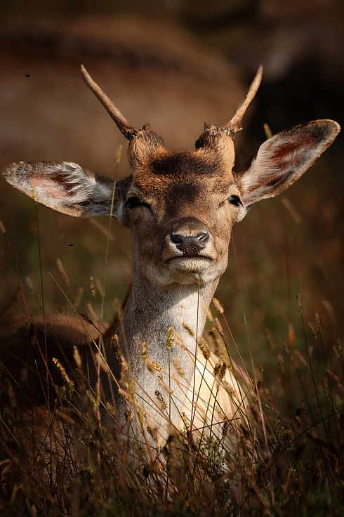 Фотограф Александр Тарасевич, фотография добавлена 29.10.2025
