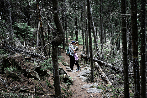 Фотограф Кирилл Емельянов, фотография добавлена 20.08.2018