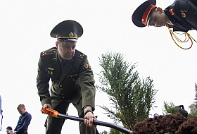 Работа фотографа Сергей Тарасов