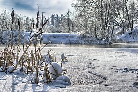Морозное утро | Фотограф Дмитрий Голуб | foto.by фото.бай