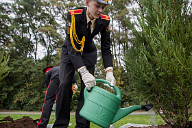 Работа фотографа Сергей Тарасов