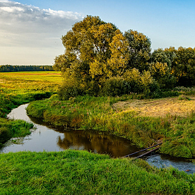 Млынка | Фотограф Владимир Ковалёв | foto.by фото.бай