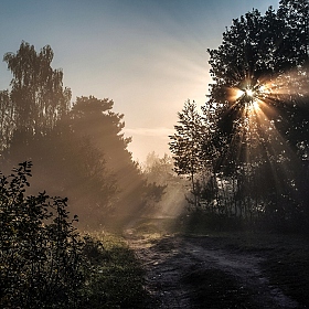 фотограф Вiктар Стрыбук. Фотография "Утро, солнце и туман"