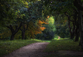 Сад | Фотограф Сергей Шабуневич | foto.by фото.бай