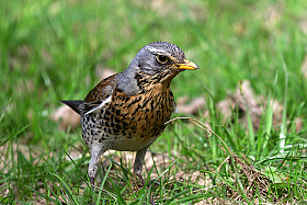 *** | Фотограф Ihar Karneichuk | foto.by фото.бай