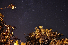 Золото под звездами | Фотограф Харланов Никита | foto.by фото.бай