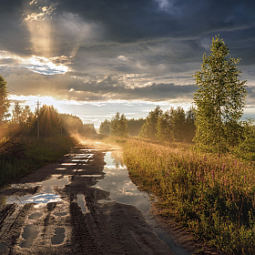 фотограф Виталий Полуэктов. Фотография "после летнего дождя"