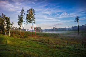 Утро в августе | Фотограф Сергей Шабуневич | foto.by фото.бай