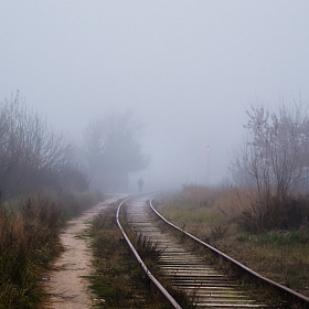 фотограф Юлия Кранина. Фотография "уйти в туман"