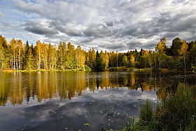 осень | Фотограф Виталий Полуэктов | foto.by фото.бай