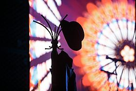 Работа фотографа Сергей Тарасов