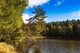 Лесное озеро | Фотограф Айвар Удрис | foto.by фото.бай