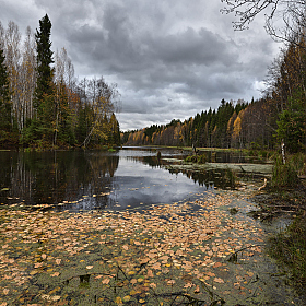 фотограф Виталий Полуэктов. Фотография "хмурая осень!"
