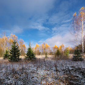 фотограф Виталий Полуэктов. Фотография "первый снег"