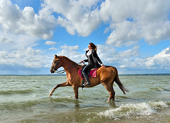 Наталия Евмененко - фотограф в городе Минск, фотография добавлена 05.06.2025
