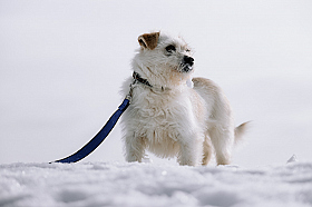 Работа фотографа Дмитрий Гусалов