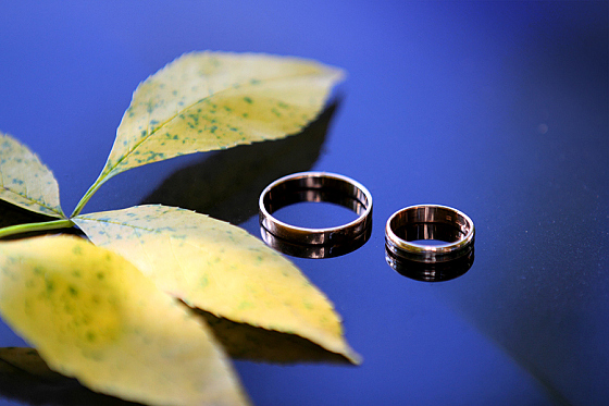 Катерина Митина - фотограф в городе Минск, фотография добавлена 08.07.2016