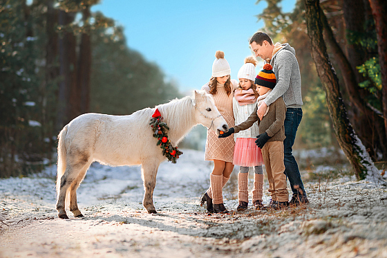 Фотограф Андрей Козеко, фотография добавлена 14.03.2026