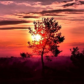 фотограф Александр Титов. Фотография "Краски заката"