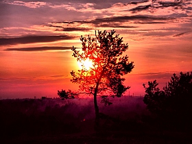 Краски заката | Фотограф Александр Титов | foto.by фото.бай