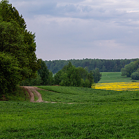 Про утро в мае | Фотограф Сергей Шабуневич | foto.by фото.бай