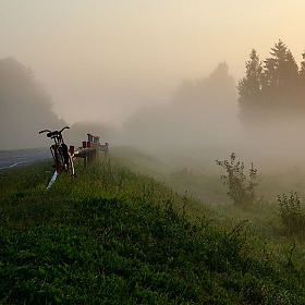 фотограф Владимир Ковалёв. Фотография "Оранжевый уровень"