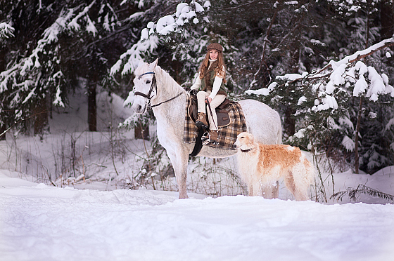 Фотограф Алиса Хмелевская, фотография добавлена 28.03.2018