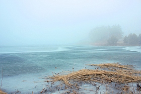 туман | Фотограф Анастасия Шопук | foto.by фото.бай