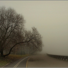 в туман... | Фотограф Игорь Сафонов | foto.by фото.бай