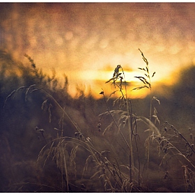 фотограф Виктория Шувалова. Фотография "Рассвет, вот только солнышко проснулось..."