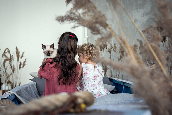 Фотограф Катерина Кузьмичёва, фотография добавлена 11.05.2017