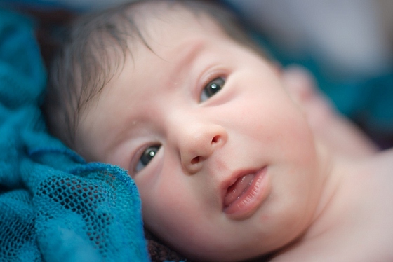 Анна Булгакова - фотограф в городе Гомель, фотография добавлена 12.02.2016