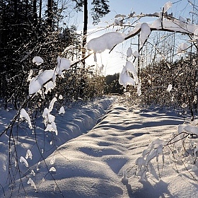 Арка в зиму | Фотограф Владислав Рогалев | foto.by фото.бай